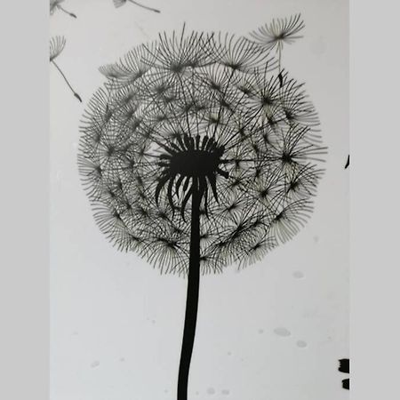Ferienwohnung Pusteblume Mueddersheim Vettweiss Zewnętrze zdjęcie